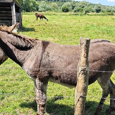 Le Relais De La Charreterie *