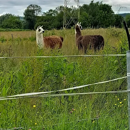 Le Relais De La Charreterie * Heurteauville